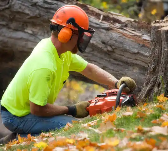 tree services Troutman